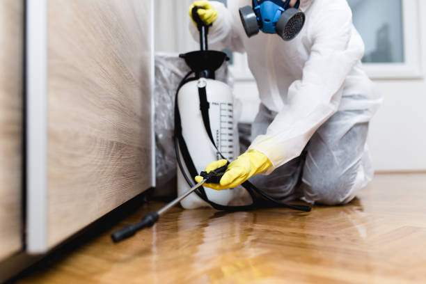 Best Cockroach Control Services  in Cambridge, MD