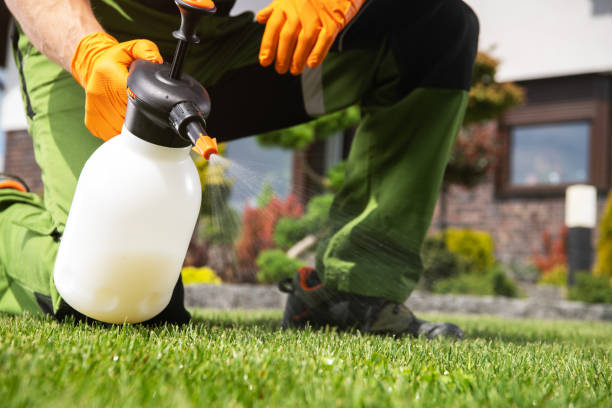 Best Termite Control Services  in Cambridge, MD