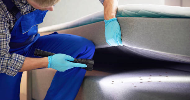 Reliable Cambridge, MD Pest Control Solutions