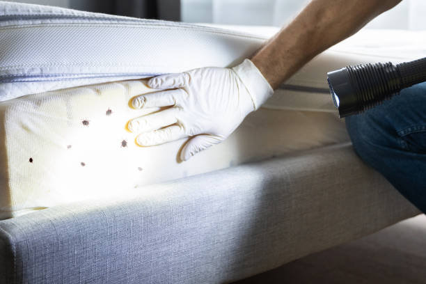 Best Local Pest Control Services  in Cambridge, MD