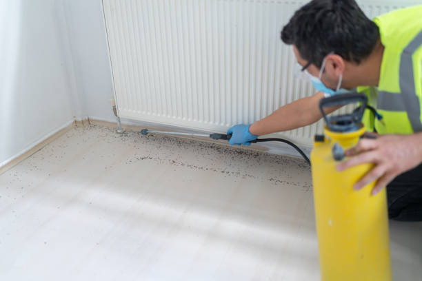 Best Pest Removal Services  in Cambridge, MD