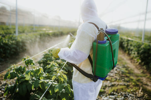 Best Pest Control Near Me  in Cambridge, MD